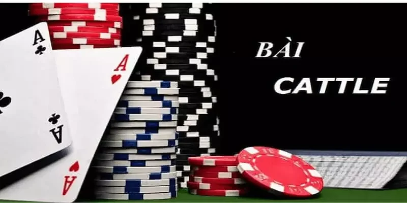 Giới thiệu về bài catte cho gamer Giới thiệu về bài catte cho gamer